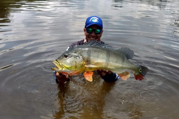 Pousada Hotel Amazonia Manaus Pesca Esportiva, Pousada Sol do Amanhã ecoturismo